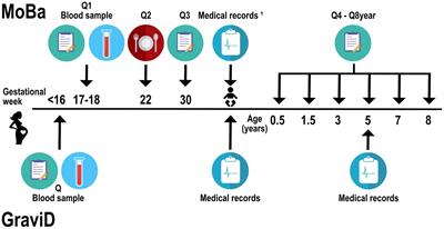 Maternal vitamin D status and risk of childhood overweight at 5 years of age in two Nordic cohort studies
